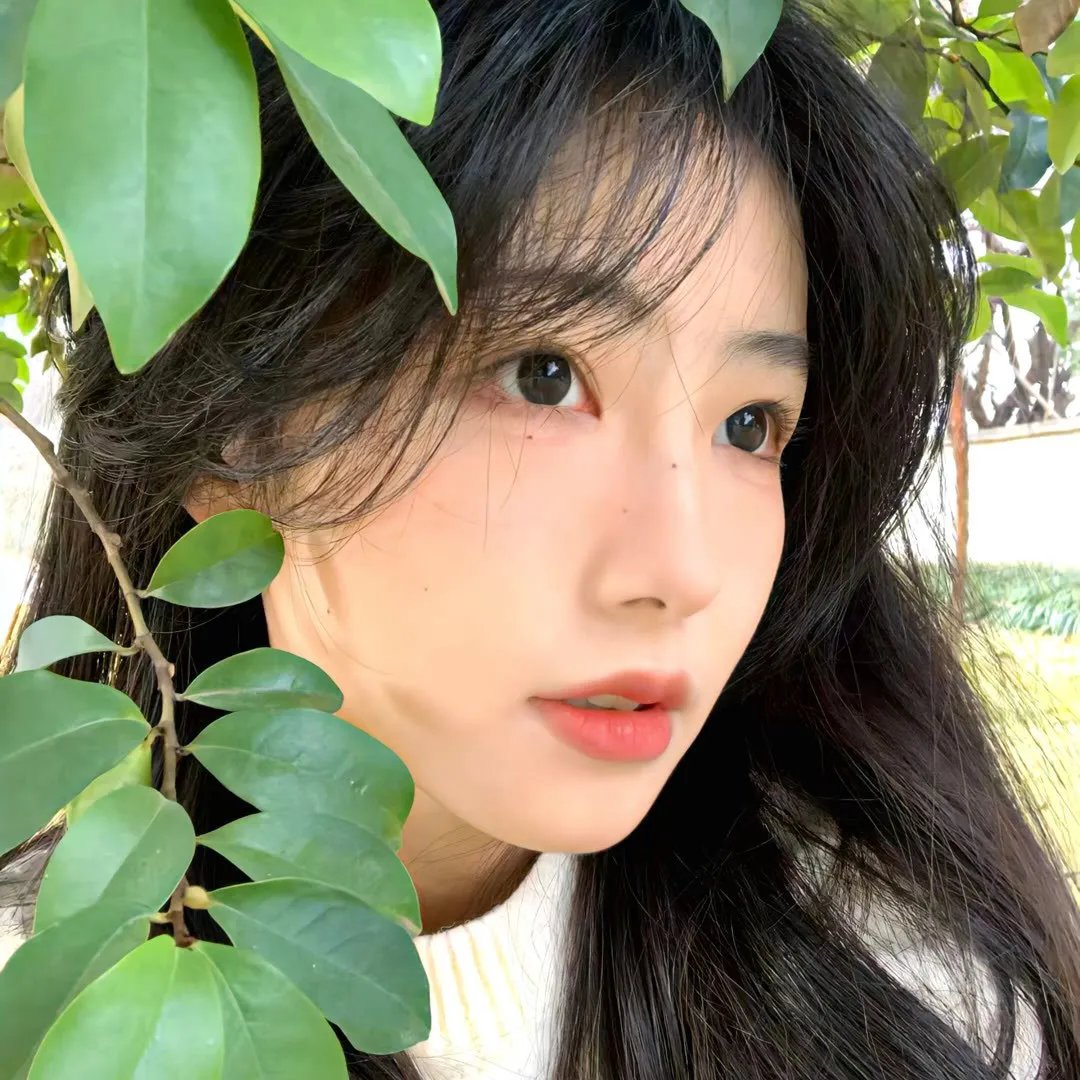 医生的假日